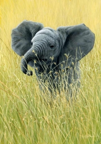 1019-elephant-in-the-grass