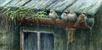 1028-life-in-the-gutter-bedraggled