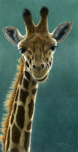 1031-giraffe-beauty