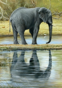 1080-reflections-of-ele-16x12