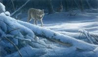 1157-moonlight-wolves