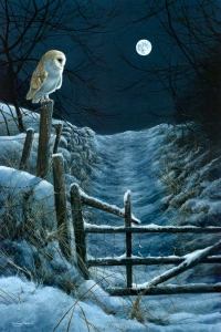 1196-moonlight-barn-owl