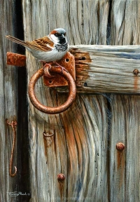 1210-house-sparrow-door