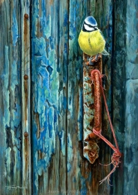 1212-blue-door-blue-tit