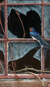 1218-House-hunting---swallow