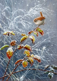 1223-falling-snow---wren