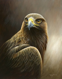 1250-Golden-Eagle