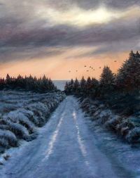1291-A-winters-day-with-jackdaws