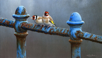 1329-Red-white-and-blue-goldfinches