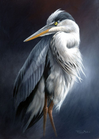 1355-heron