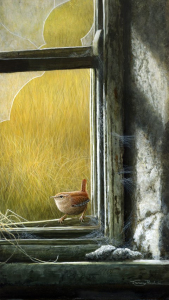 1382-window-wren