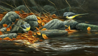 1391-Fall-of-leaves-grey-wagtails