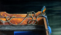 1403-colours-of-the-Kingfisher