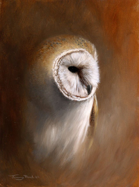 1406-Barn-owl
