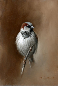 1407-house-sparrow-oil