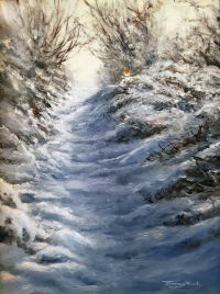1413-snow-path-robin