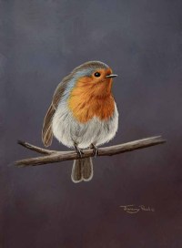 1432-robin
