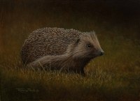 1435-hedgehog