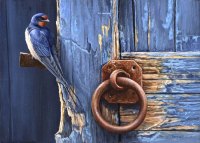 689 Swallow