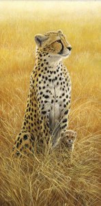 700-cheetah-and-cub