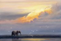 702-zambezi-sundown