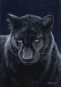 717-black-panther