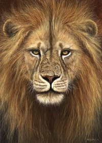 719-lion