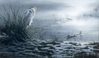 723-heron-at-cringle