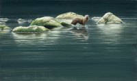 724-otter-islands