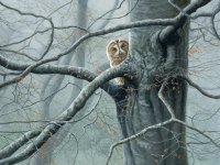 725-tawny-owl-deep-in-the-woods