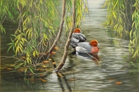738-willow-and-widgeon