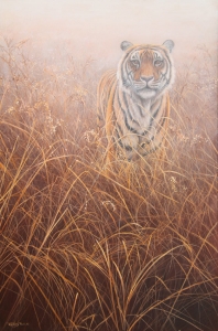 758-tiger-at-dawn