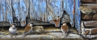 775-sparrows-doorstep