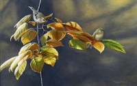 792-golden-leaves-goldcrests