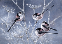 797-long-tailed-tits-stamp