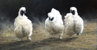 808-silkies-dust-devils
