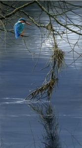 819-kingfisher-blue-and-grey