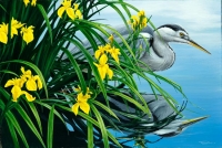 823-heron-and-flags