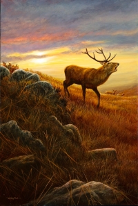 824-stag