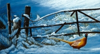 828-snowgate-pheasant