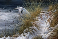858-winter-heron