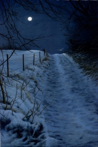 911-moonlight-barn-owl