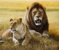 935-marsh-pride-lions Masai Mara