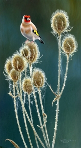 947-teasels-and-goldlfinch