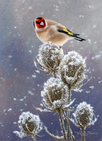 951-teasels-and-gold