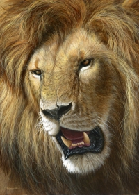 962-return-of-the-king-lion