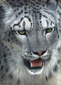 964-snow-queen