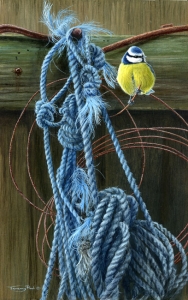 967-old-ropes-blue-tit