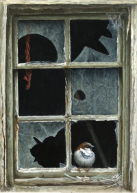 969-broken-windows-sparrow