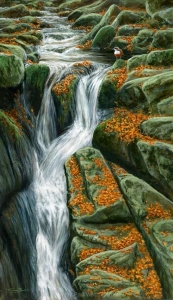 1186-dipper-falls 24x12